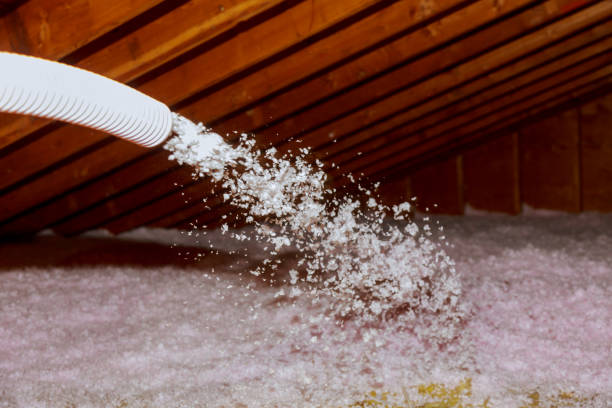 Insulation Replacement Services in Lenoir City, TN