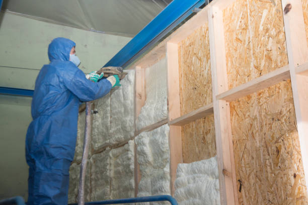 Trusted Lenoir City, TN Insulation Contractor Experts