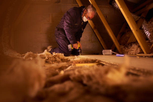 Best Attic Insulation Installation  in Lenoir City, TN